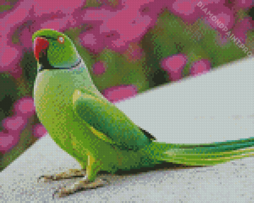 Red Neck Parrot Diamond Painting