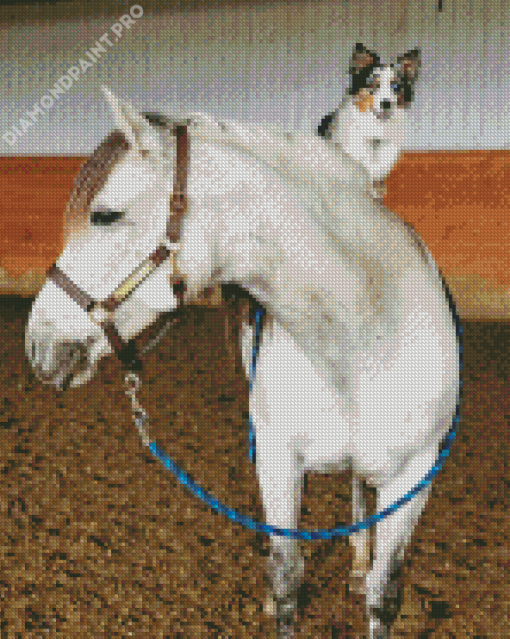 White Horse With Mini Aussie Diamond Painting