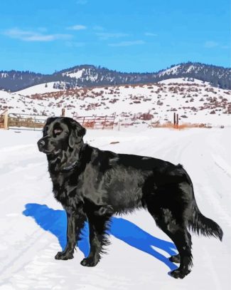 Black Golden Retriever Dog In Snow Diamond Painting