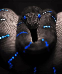 Black Snake Diamond Painting