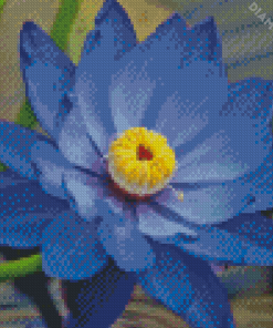 Blue Water Lily Diamond Painting