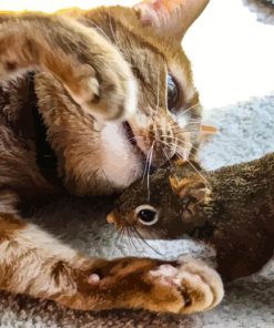 Cat And Squirrel Animals Sleeping Diamond Painting