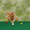 Snooker Cat Diamond Painting
