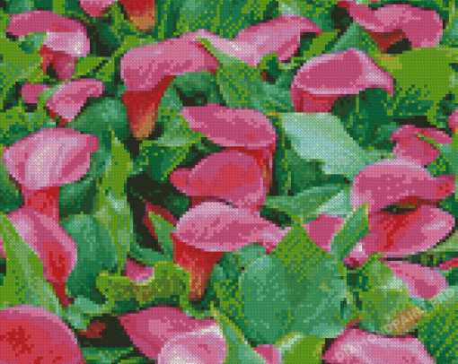 Pink Calla Lily Blooming Plants diamond painting