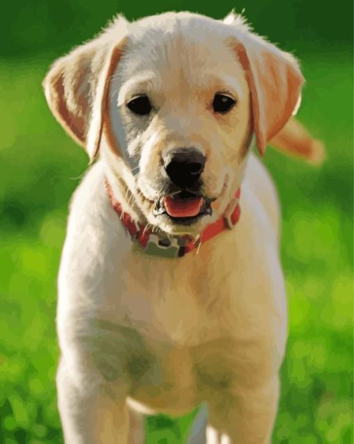 Cream Retriever Dog Puppy Diamond Painting