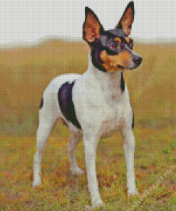 Miniature Fox Terrier Dog Diamond Painting