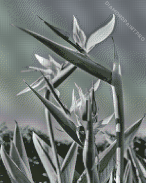 Bird Of Paradise Plant Diamond Painting