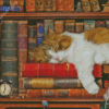 Cat Sleeping In Bookcase Diamond Painting