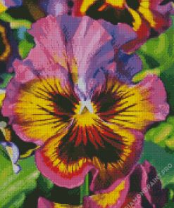 Purple And Yellow Flower Diamond Painting