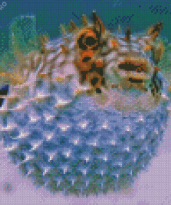 Puffer Fish Diamond Painting