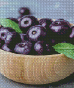 Acai Fruit Bowl Diamond Painting