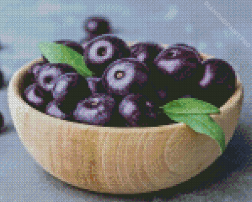 Acai Fruit Bowl Diamond Painting