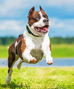 American Staffordshire Terrier Running Diamond Painting