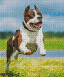 American Staffordshire Terrier Running Diamond Painting