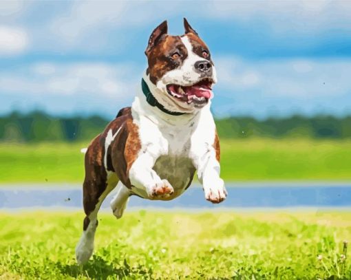 American Staffordshire Terrier Running Diamond Painting