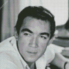 Anthony Quinn American Actor Diamond Painting