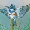 Belted Kingfisher On Branch Art Diamond Painting