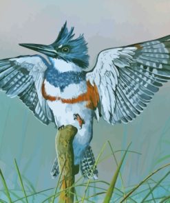 Belted Kingfisher On Branch Art Diamond Painting