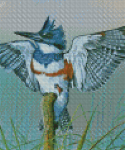 Belted Kingfisher On Branch Art Diamond Painting