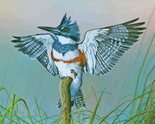 Belted Kingfisher On Branch Art Diamond Painting