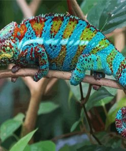 Blue Tropical Chameleon Reptile Diamond Painting