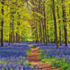 Bluebell Meadow Diamond Painting