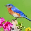 Bluebird On Flowers Diamond Painting