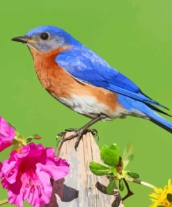 Bluebird On Flowers Diamond Painting