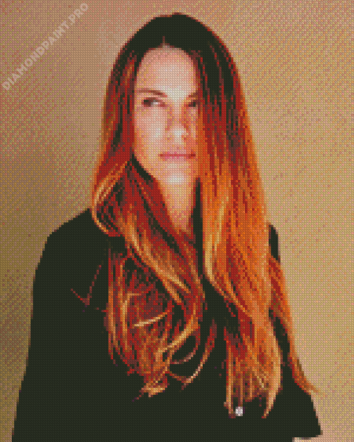 Danneel Ackles American Celebrity Diamond Painting