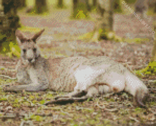 Eastern Grey Kangaroo Laying Diamond Painting