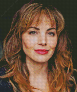 Erica Durance Canadian Actress Diamond Painting