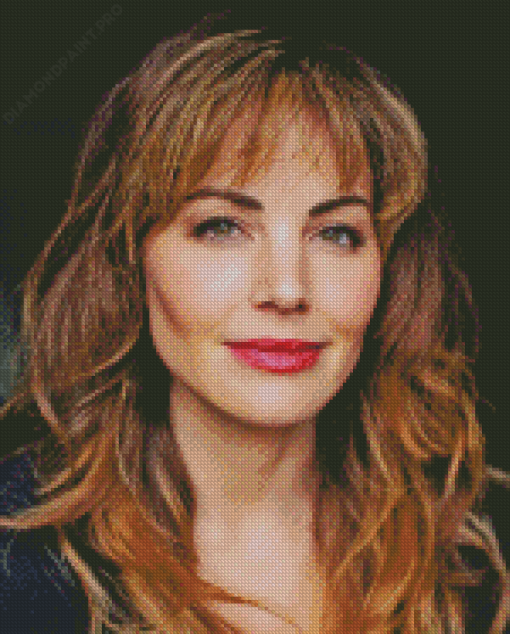 Erica Durance Canadian Actress Diamond Painting