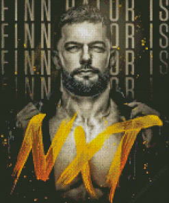 Fergal Devitt Finn Balor Diamond Painting