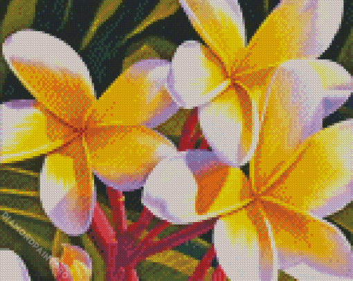 Frangipani Diamond Painting