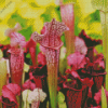 Green And Purple Carnivorous Plant Diamond Painting