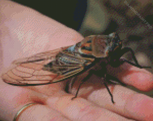 Hand Holding Cicadas Diamond Painting