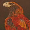 Illustration Wedge Tailed Eagle Diamond Painting