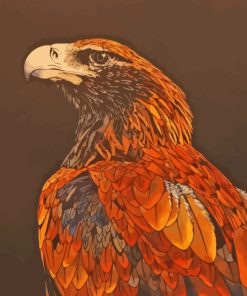 Illustration Wedge Tailed Eagle Diamond Painting