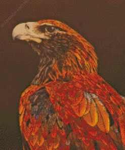 Illustration Wedge Tailed Eagle Diamond Painting