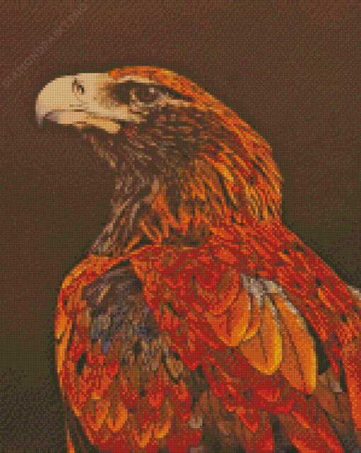 Illustration Wedge Tailed Eagle Diamond Painting