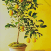 Lemon In Pot Diamond Painting