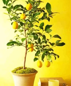 Lemon In Pot Diamond Painting