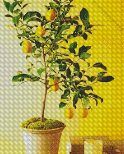 Lemon In Pot Diamond Painting