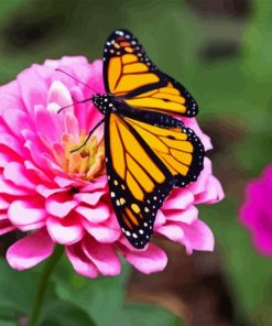 Monarch Butterfly On Pink Flower Diamond Painting