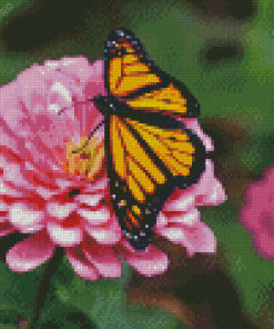 Monarch Butterfly On Pink Flower Diamond Painting