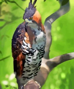 Ornate Hawk Eagle Diamond Painting