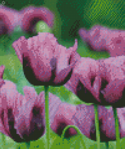 Purple Poppy Flowers Field Diamond Painting