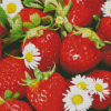 Strawberries And Flowers Diamond Painting