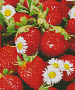 Strawberries And Flowers Diamond Painting