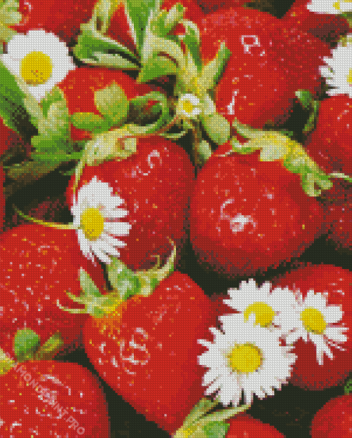 Strawberries And Flowers Diamond Painting